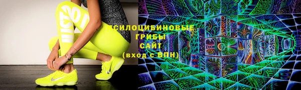 прущие грибы Горняк