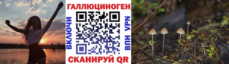 Псилоцибиновые грибы GOLDEN TEACHER Льгов